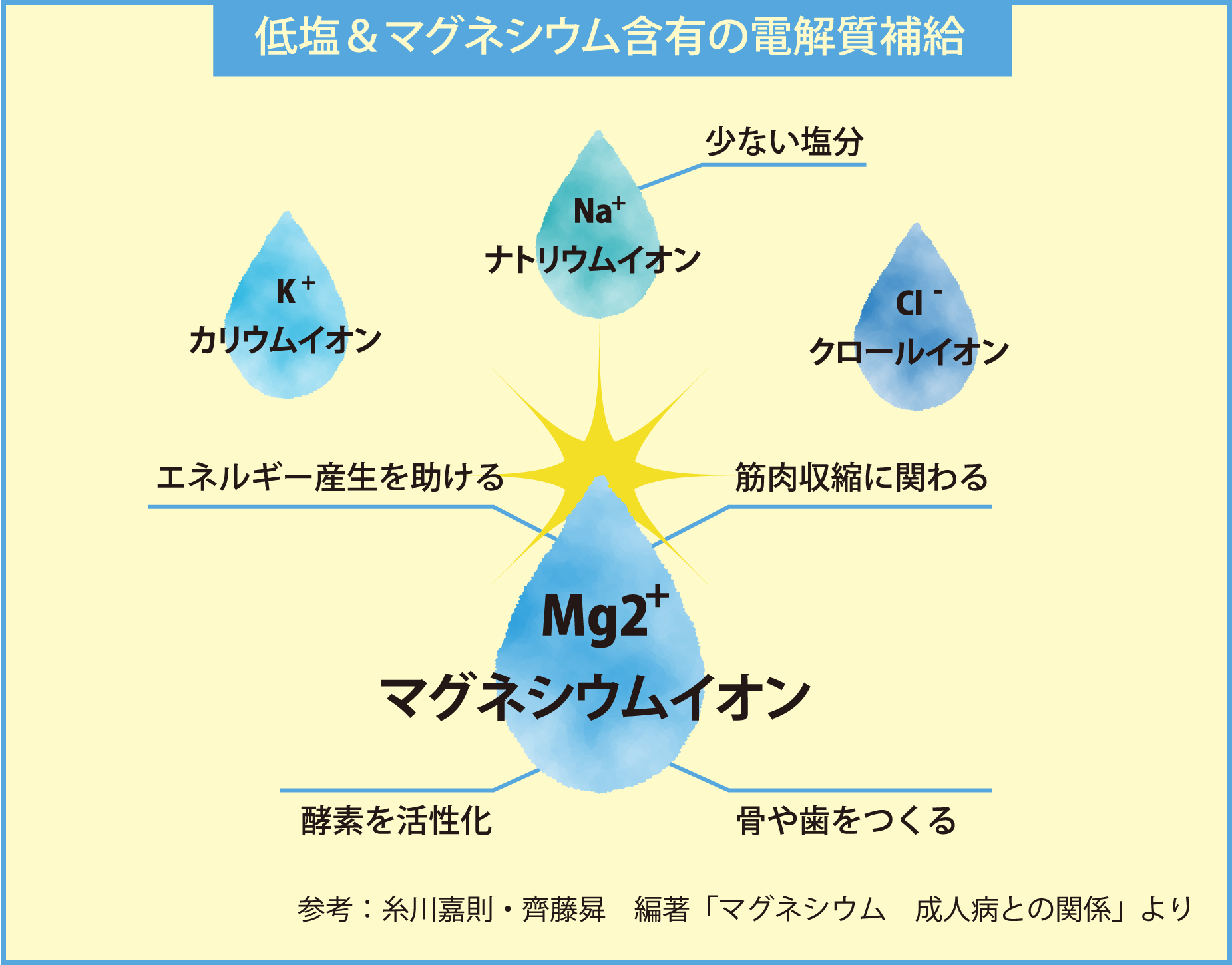 主な電解質（イオン）の役割